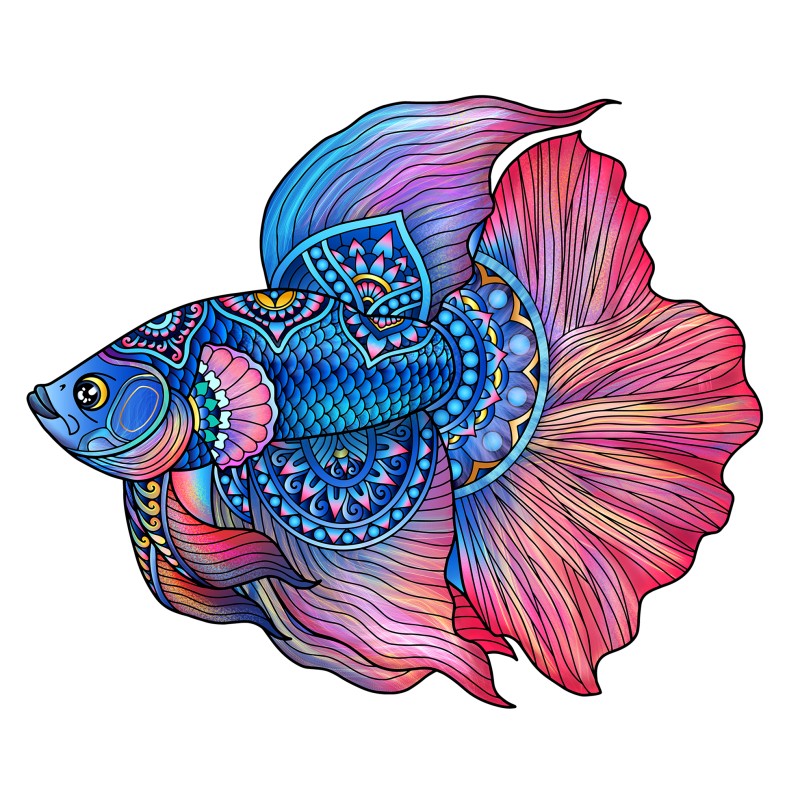 Rainbow Wooden Puzzles - Fighting Fish / Vis