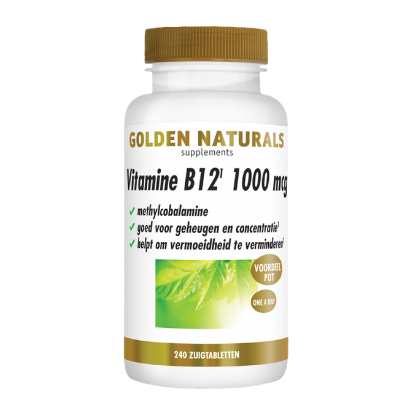 Vitamine B12 1000 mcg - Methylcobalamine GN