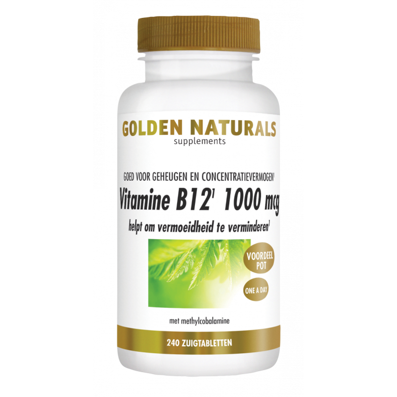 Vitamine B12 1000 mcg - Methylcobalamine GN