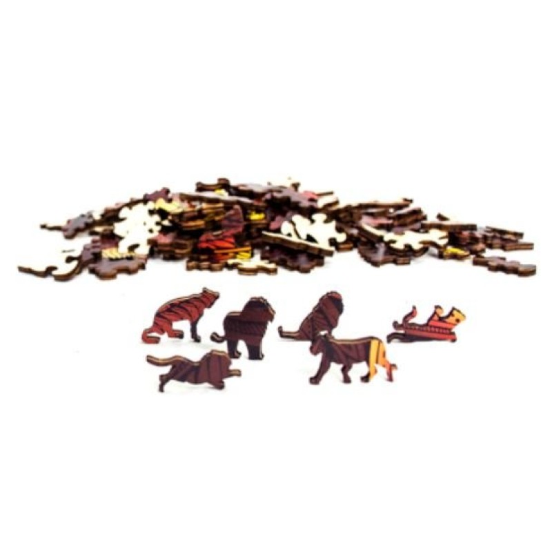 Rainbow Wooden Puzzles - Lion / Leeuw