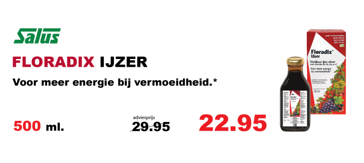 Floradix vloeibaar IJzer Elixer